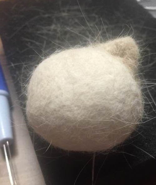 送給愛貓的親們，親手制作的貓毛氈教程，拿走不謝！