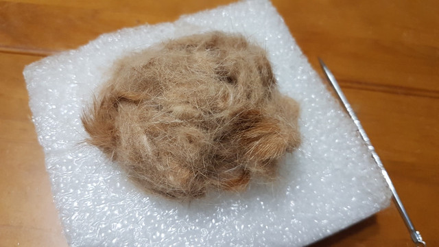 從飄落的貓毛到掌心的溫暖 手作貓毛氈的治愈之旅